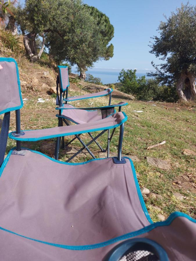 Terre Di טוזה מראה חיצוני תמונה