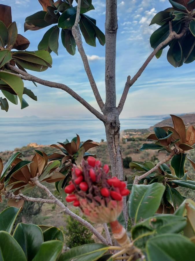Terre Di טוזה מראה חיצוני תמונה