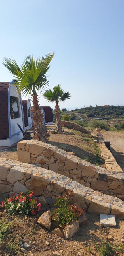 Terre Di טוזה מראה חיצוני תמונה