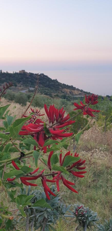 Terre Di טוזה מראה חיצוני תמונה